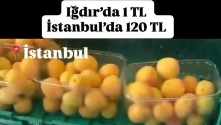 “Iğdır’da kayısı 1 TL İstanbul’da 120 TL satılıyor’ savına ceza