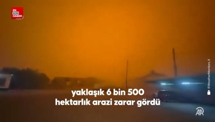 İspanya’daki iki yangında yaklaşık 6 bin 500 hektarlık arazi ziyan gördü