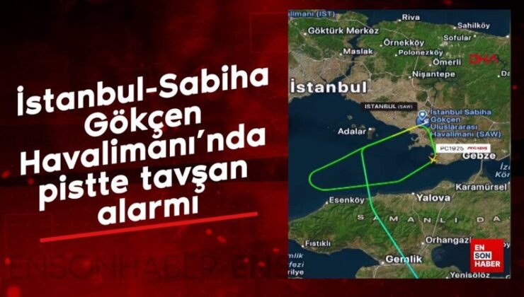 İstanbul-Sabiha Gökçen Havalimanı’nda pistte tavşan alarmı