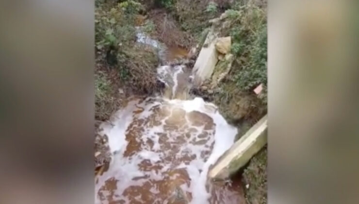 İstanbul Şile’de atık sular nedeniyle mahalleyi makûs kokular sardı