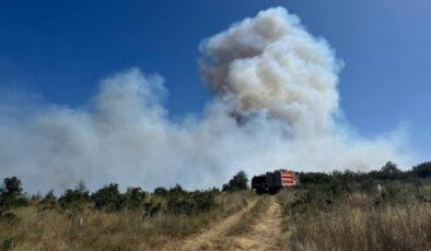 İstanbul Silivri’de ormanlık alanda yangın