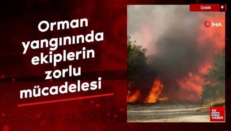 İzmir Aliağa ve Foça’da orman yangınında takımların kuvvetli çabası