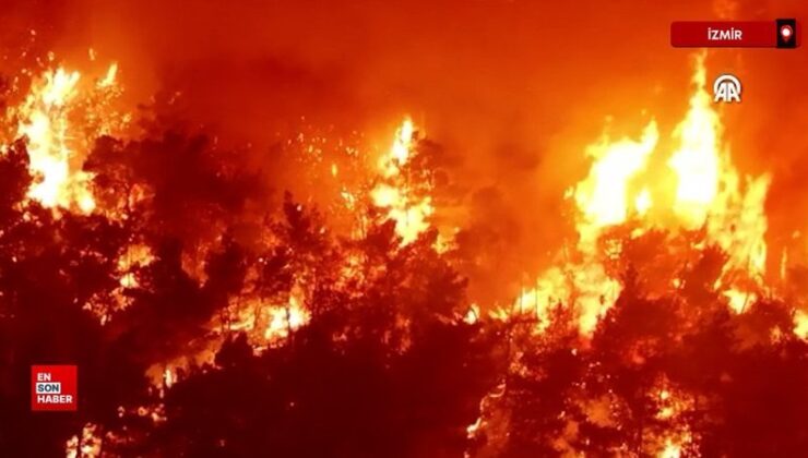 İzmir Buca’daki orman yangını havadan görüntülendi