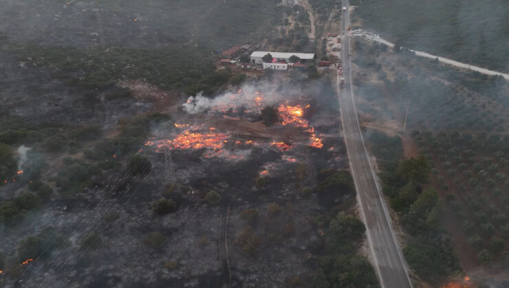İzmir Çeşme’de yangına müdahale sürüyor