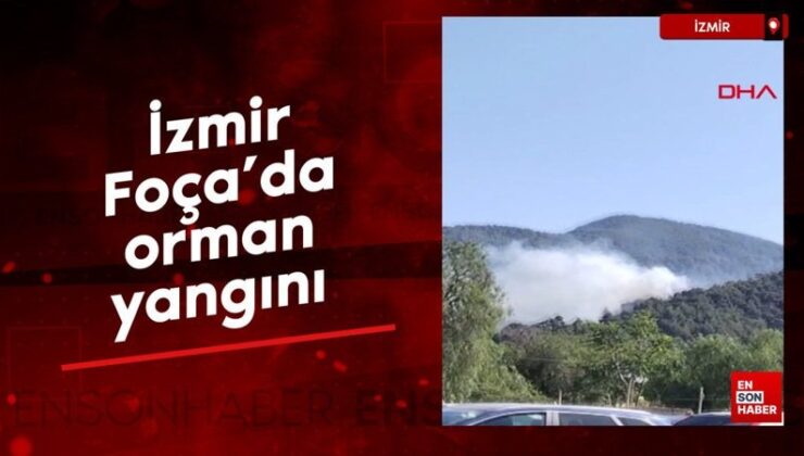İzmir Foça’da orman yangını