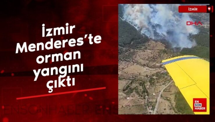 İzmir Menderes’te orman yangını çıktı