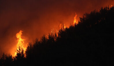İzmir Ödemiş’te bir orman personeli şehit oldu