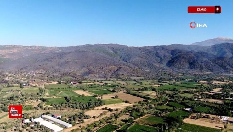 İzmir Ödemiş’teki orman yangınını söndürme çalışmaları devam ediyor