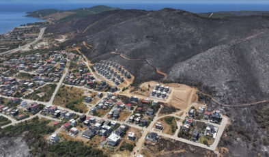 İzmir ve Bilecik’te birtakım ilçeler orman yangınları sonrası “Afet Bölgesi” ilan edildi