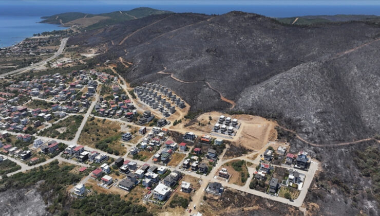 İzmir ve Bilecik’te birtakım ilçeler orman yangınları sonrası “Afet Bölgesi” ilan edildi