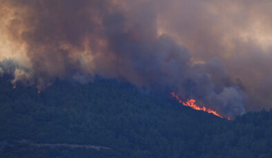 İzmir’de 4 ilçede orman yangınlarıyla uğraş