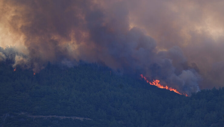 İzmir’de 4 ilçede orman yangınlarıyla uğraş