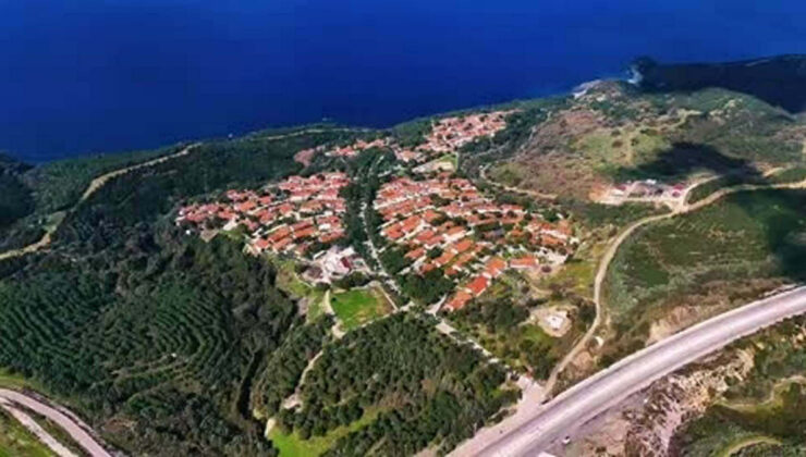 İzmir’de çıkan yangınlar sonrası yürek burkan kareler