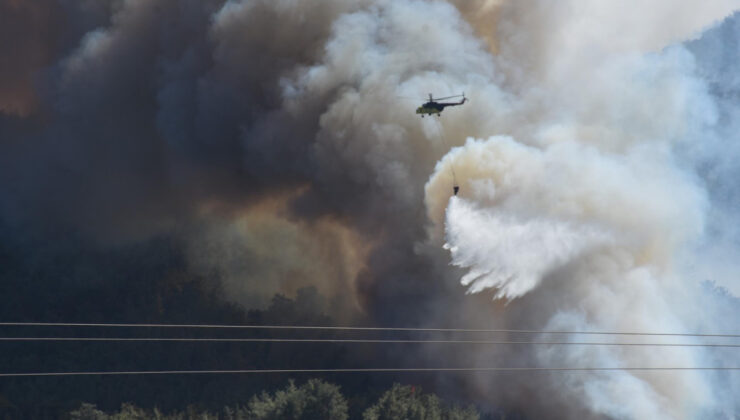 İzmir’de orman yangını