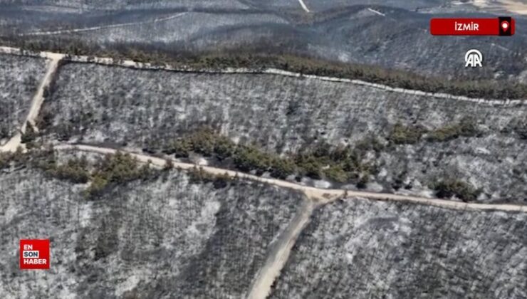 İzmir’de yanan orman alanı havadan görüntülendi