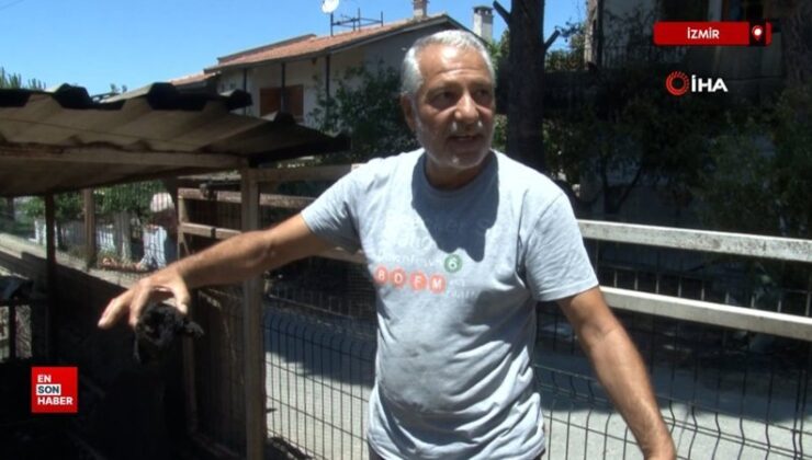 İzmir’de yangından geriye gözyaşı kaldı