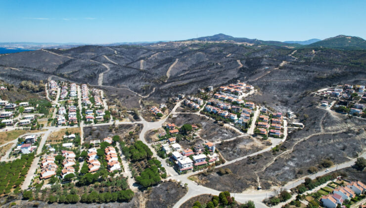 İzmir’de yangından geriye gözyaşı kaldı: Oluşan hasar havadan görüntülendi