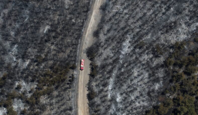 İzmir’de yangından sonra küle dönen orman havadan görüntülendi