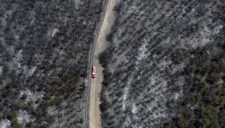 İzmir’de yangından sonra küle dönen orman havadan görüntülendi