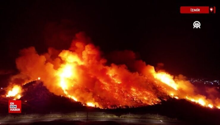 İzmir’deki yangın ormana sıçradı: 1 kişi gözaltında