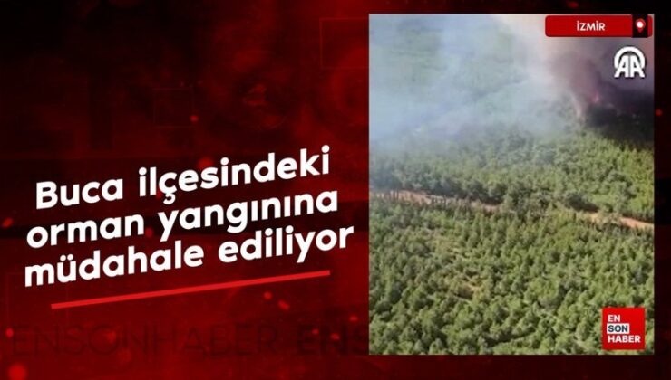 İzmir’in Buca ilçesindeki orman yangınına müdahale ediliyor