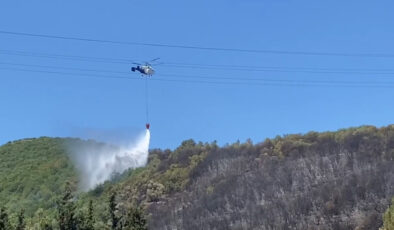 Kocaeli’de ağaçlık alanda yangın çıktı