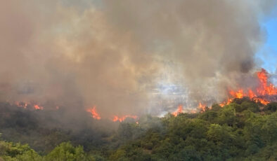 Kocaeli’de çıkan orman yangınına takımlar müdahale ediyor