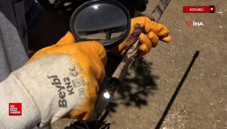 Kocaeli’de paklık personelinin sıra dışı yeteneği: Güneşi kalem üzere kullanıyor