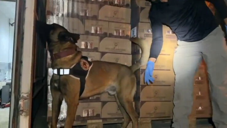 Kocaeli’de TEM geçişinde durdurulan araçtan 9 kilo kokain ele geçirildi