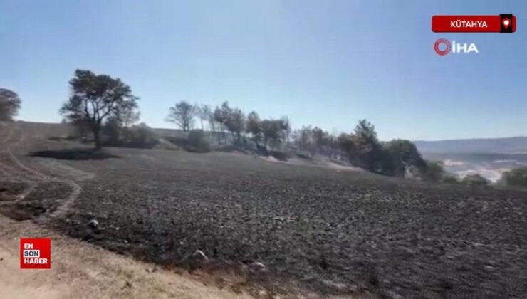 Kütahya’daki orman yangını denetim altına alındı