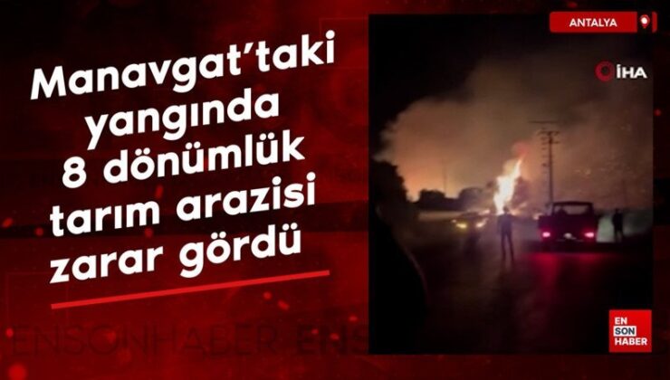 Manavgat’taki yangında 8 dönümlük tarım toprağı ziyan gördü