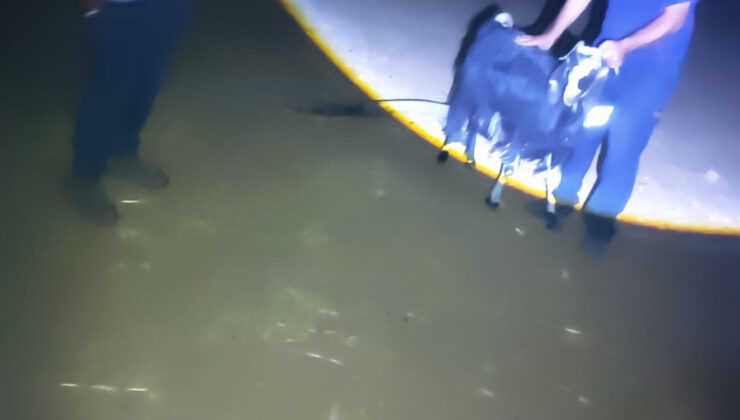 Mardin’de kuyuya düşen keçi kurtarıldı