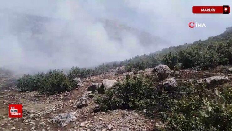 Mardin’de ormanlık alanda çıkan yangın