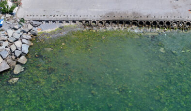 Marmara Denizi’nin orta katmanında müsilaj tehlikesi sürüyor