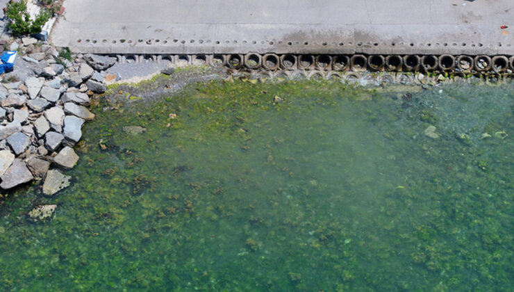 Marmara Denizi’nin orta katmanında müsilaj tehlikesi sürüyor