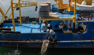 Marmara’da müsilaj oluşumu azaldı