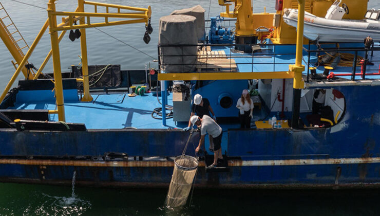 Marmara’da müsilaj oluşumu azaldı