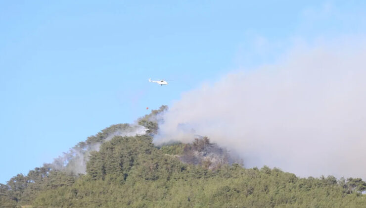 Muğla ve Manisa yangınları söndürüldü
