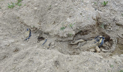 Nevşehir’de bulunan cesedin kimliği belirli oldu