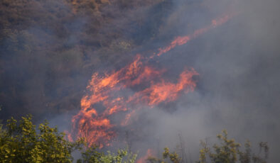 Orman yangınlarından etkilenen afetzedelere toplam 21,6 milyon TL yardım ödemesi yapıldı