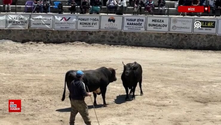 Rize’de “29. Çamlıhemşin Ayder Kültür, Sanat ve Tabiat Festivali” başladı