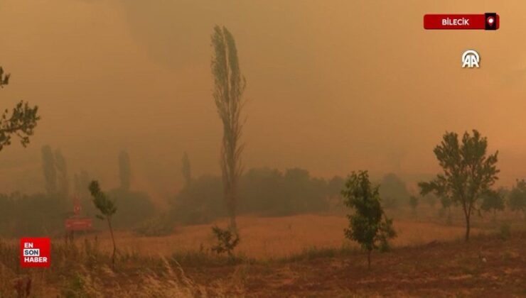 Sakarya’da başlayıp Bilecik tarafına sıçrayan yangında meskenler ziyan gördü