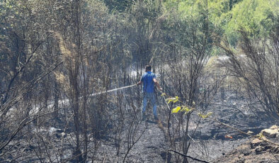 Sakarya’da çıkan orman yangını büyümeden denetim altına alındı