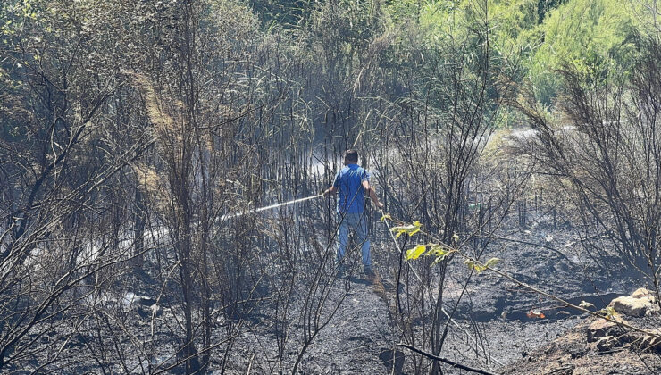 Sakarya’da çıkan orman yangını büyümeden denetim altına alındı