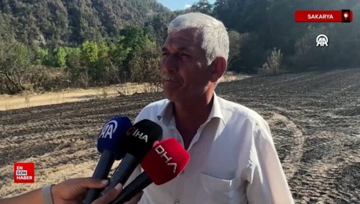Sakarya’da orman yangınında ekinleri ziyan gören çiftçi konuştu