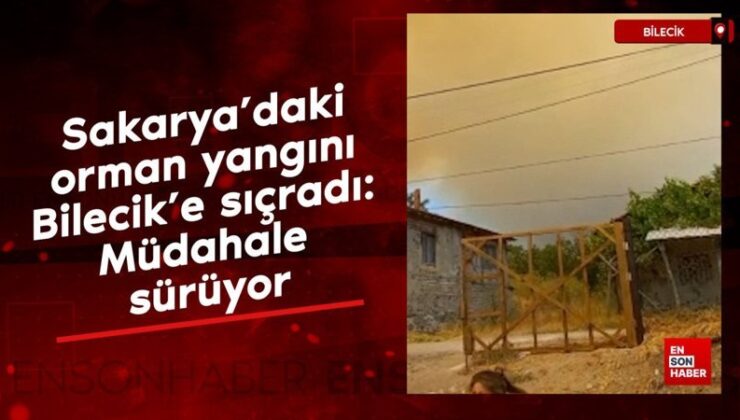 Sakarya’daki orman yangını Bilecik’e sıçradı: Müdahale sürüyor