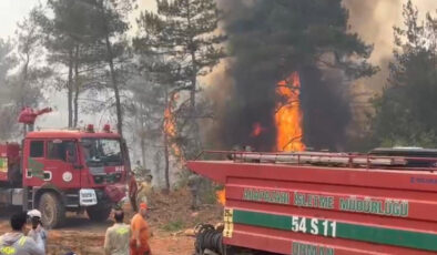 Sakarya’daki orman yangınında itfaiyeciler mevt kalım savaşı verdi