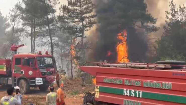 Sakarya’daki orman yangınında itfaiyeciler mevt kalım savaşı verdi