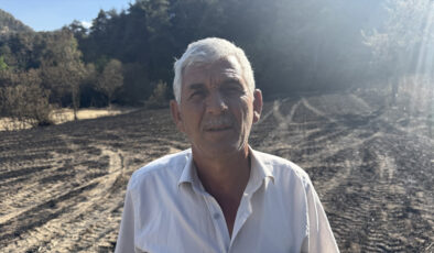 Sakarya’daki yangında ziyan gören çiftçi: Acım hakikaten çok büyük