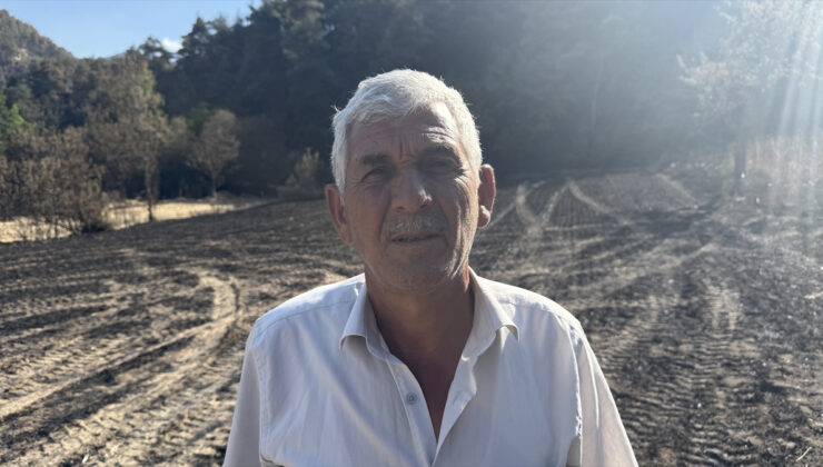 Sakarya’daki yangında ziyan gören çiftçi: Acım hakikaten çok büyük